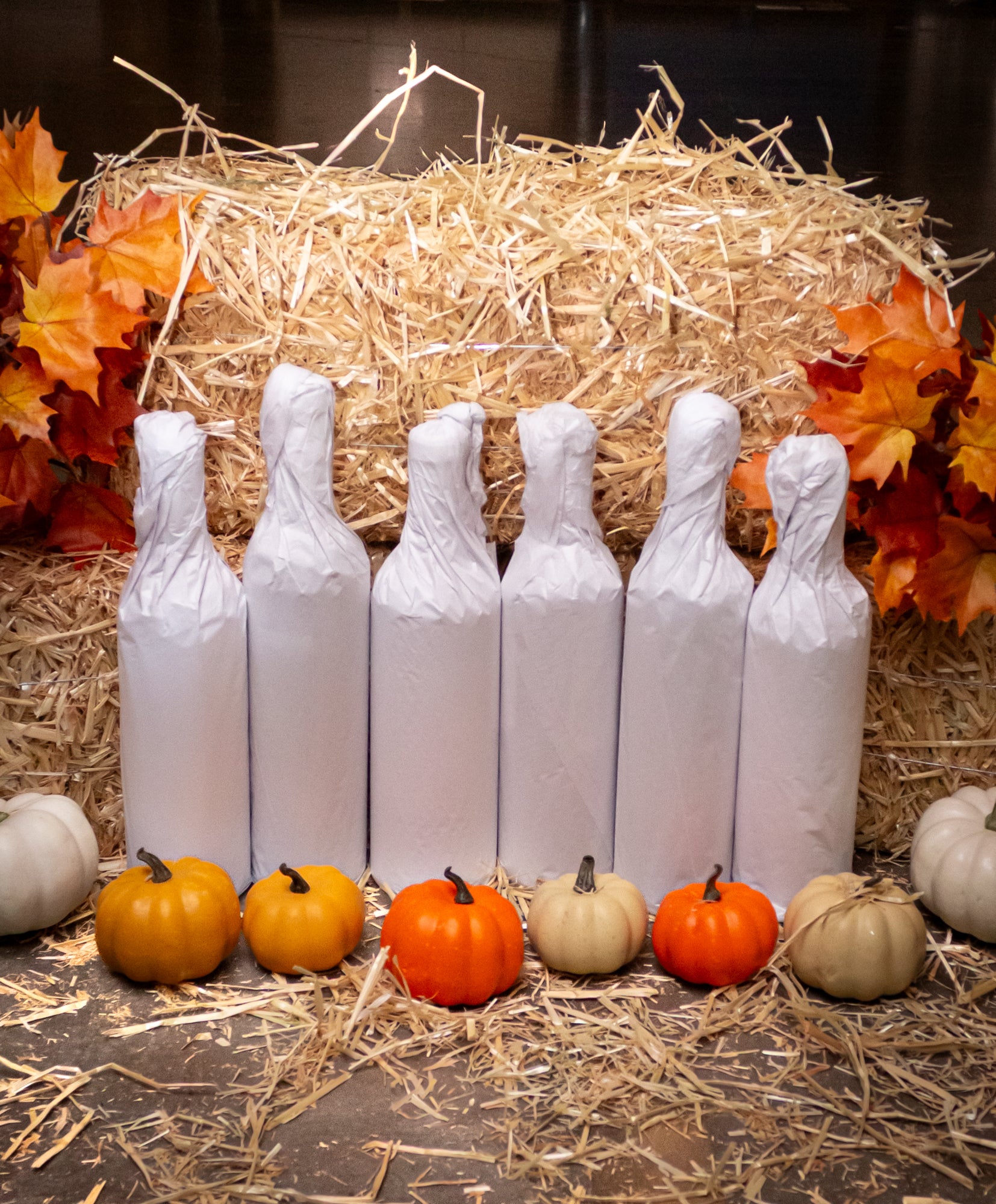 Harvest Napa Cab 6-Bottle Mystery Case