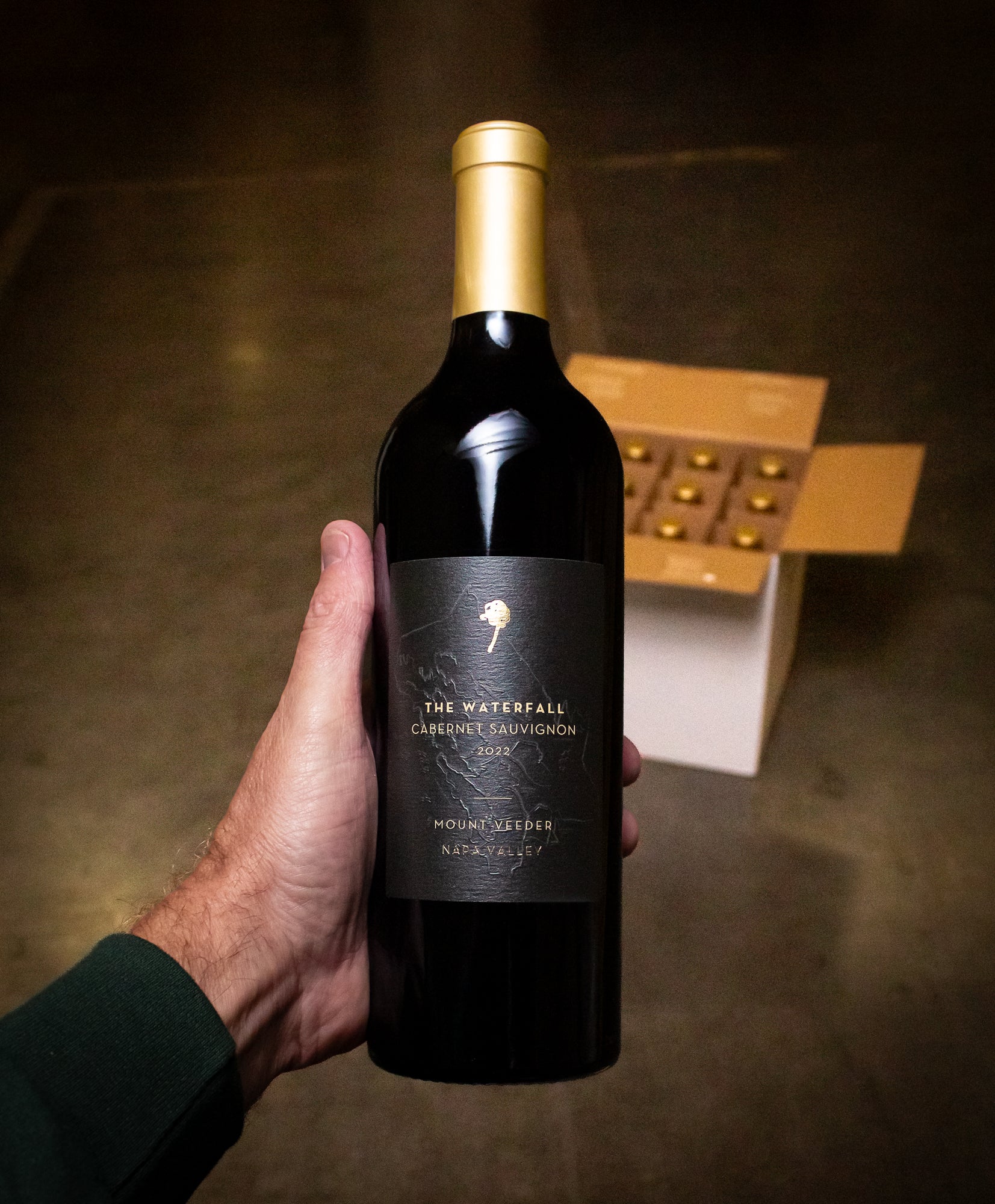 The Vice Cabernet Sauvignon The Waterfall Mt. Veeder Napa Valley 2022