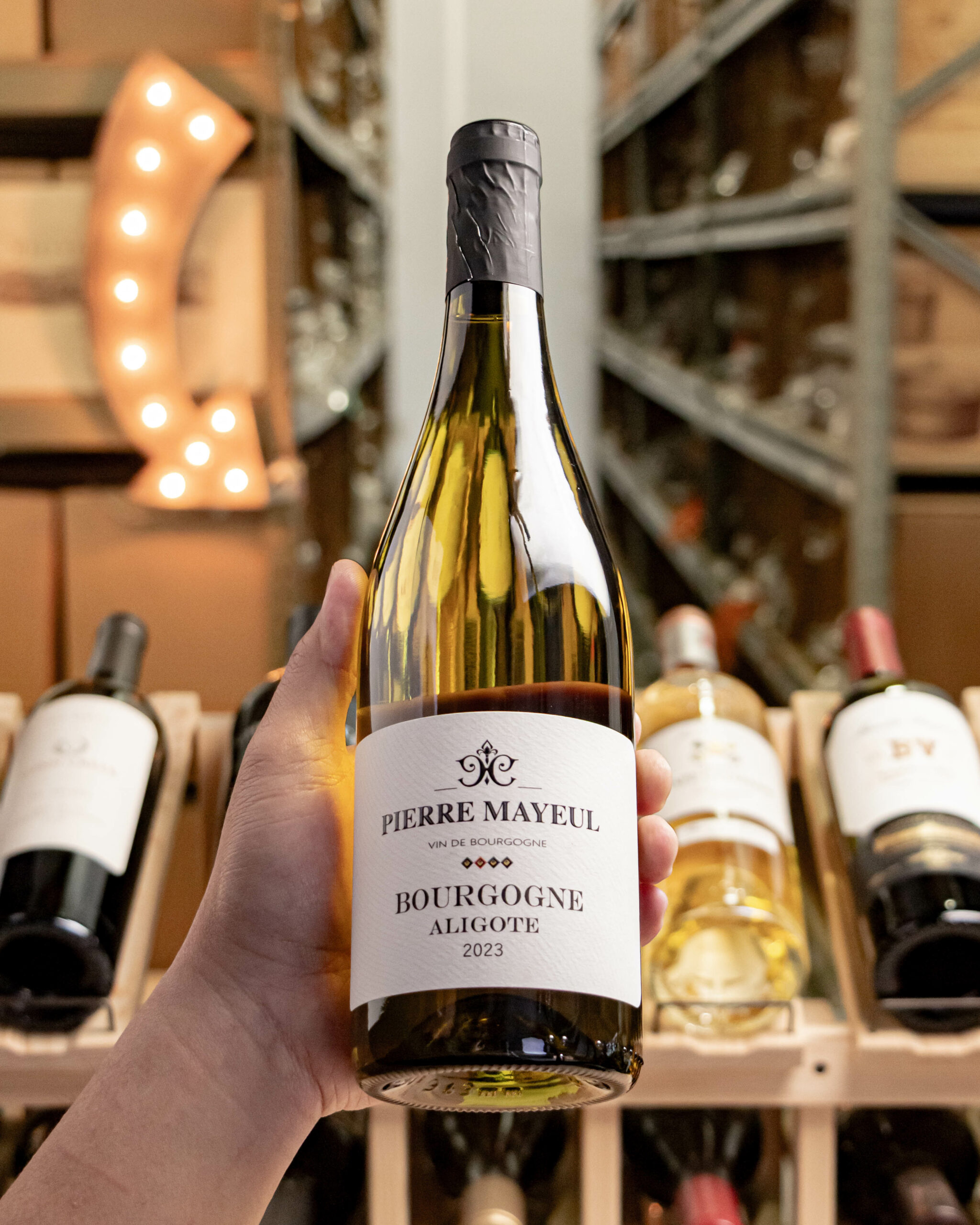 Pierre Mayeul Aligoté Bourgogne 2023